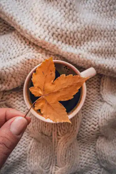 Golden fall leaf held over a cup of coffee on a cozy knit sweater