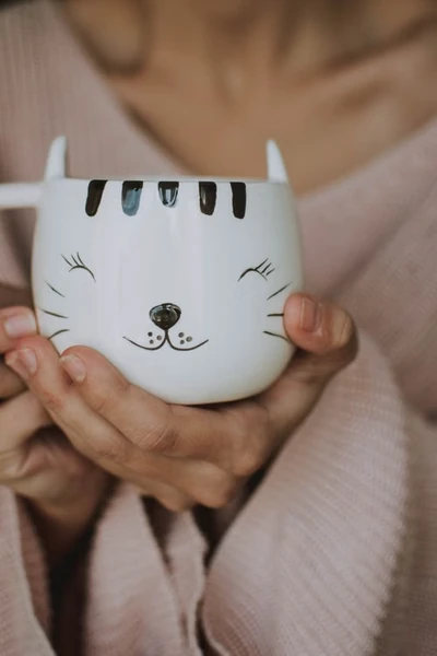 cute cat face mug with little ears