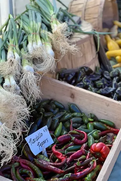 Fresh vegetables displayed at a local market stand