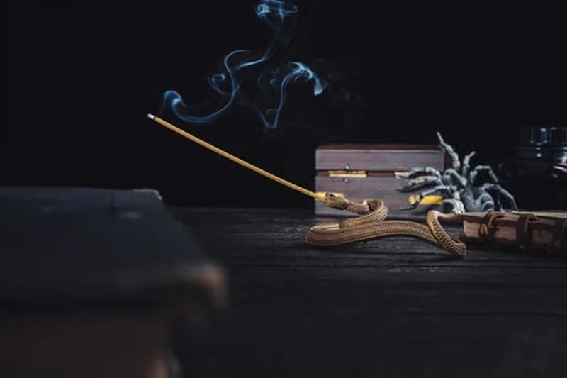 incense burning on a golden snake incense holder