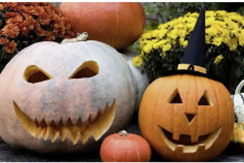Two carved jack-o’-lantern pumpkins surrounded by fall flowers and gourds