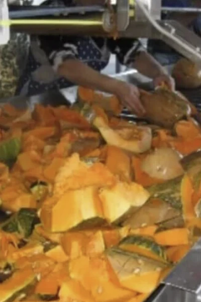 Cut pumpkin pieces being processed after harvest