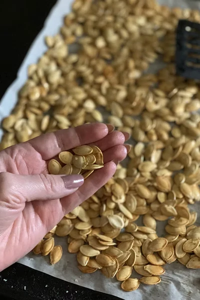 Pumpkin seeds spread out and ready to roast