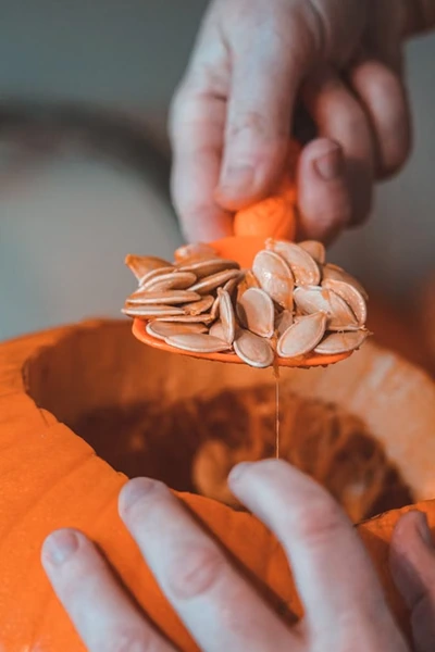 two hands scooping pumpkin seeds from a fresh pumpkin