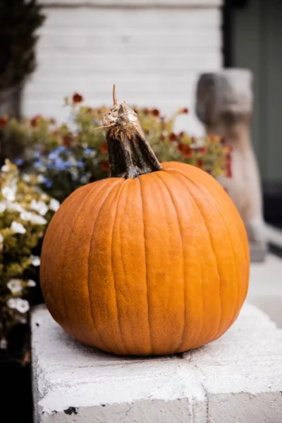 Single orange pumpkin displayed on a porch ledge