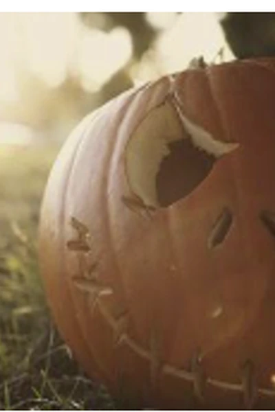 Carved pumpkin glowing outdoors in warm evening sunlight