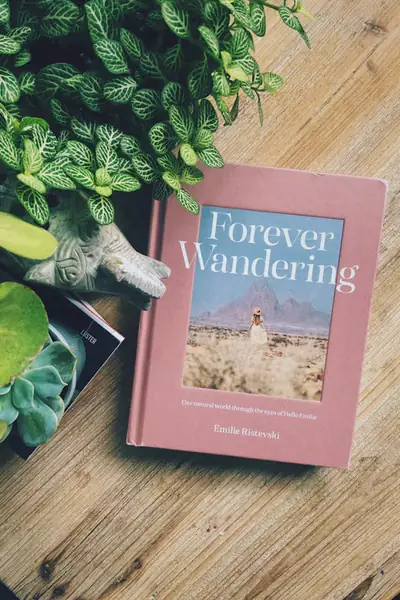 Travel book titled Forever Wandering beside green houseplants