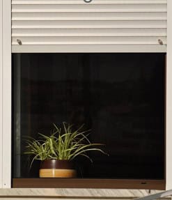 green plant in earth tone pot sitting on a windowsill